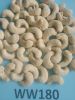 Cashew Kernel