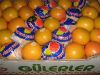 Quality Grapefruits (s...