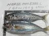 Best PINK SALMON FISH, SALMON FISH, FROZEN SALMON FISH PRODUCTS