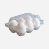 Factory Sale Disposable Plastic Egg Tray Blister Clear Egg Packing Box