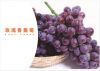 the Chinese rose grape...