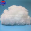 Nylon6  Staple Fiber  ...