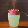 Mini USB Air Humidifier