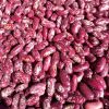 Kidney Beans