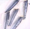 Frozen mackerel fillets for sale