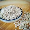  Wholesale China Speci...