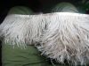 ostrich metric feather