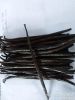 Planifolia Vanilla Beans