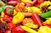 Bell Pepper
