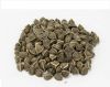 High Quality Moringa S...