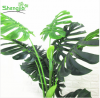 5ft  artificial monstera bonsai plant