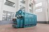 DZL coal-fired steam boiler 4 tons per hour