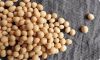 HIGH PROTEIN QUALITY SOYBEAN MEAL FOR SALE