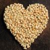 PINE NUT KERNEL