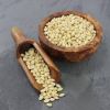 Pine Nut Kernels