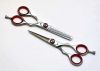 Barber Scissors