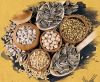 SUNFLOWER SEEDS ; CHIC...