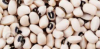 beans 