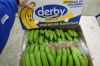 Cavendish bananas from...