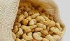 High Quality Cashew Nuts 