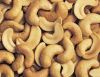 High Quality Cashew Nuts 