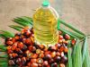Palm oil (red palm oil...