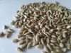 Sunflower Seed Kernel