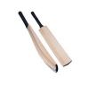 cricket hard ball bats