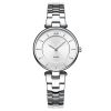 Hot Sell Silver Watch ...
