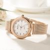 New Fashion Ladie'S Watch Minimalist Stainless Steel Watch Mesh Band Custom Brand 