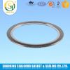 spiral wound gasket wi...