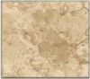 Sinai Breccia Marble