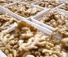 Air dry dried Fresh Gi...