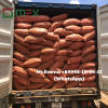 High Quality Tabu/ Jigat/ Joss Powder with Low Price - Customized Packing Powder