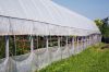 Agricultural Cover for crops groundsheet tarps