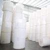 Thermal paper roll for...