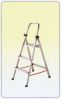 Aluminum Ladder