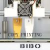 BIBO 3D Printer Dual E...