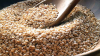 Unhulled Sesame seeds