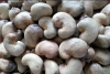 Cashew Nuts