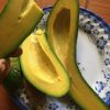 Fresh Avocado Fruit 034/ Booth/ Hass/ Wax