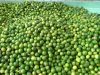 Fresh Seedless Lime (Lemon) 100% Vietnam Origin