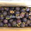 Fresh Mangosteen Fruit From Vietnam