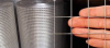 Welded Wire Mesh/Galvanized Welded Wire Mesh