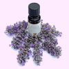 lavender essential oil