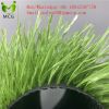 50mm Football Artificial Grass Certified by SGS