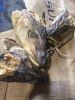 Dried Stockfish