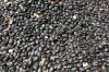 Black Kidney Beans