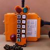 F24-10S crane radio co...
