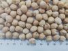 Kabuli Chickpeas